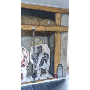 Deze leuke muurschildering van koeien in een oude koeienstal heb ik gemaakt in een woonkeuken. Het heeft de ruimte de sfeer!